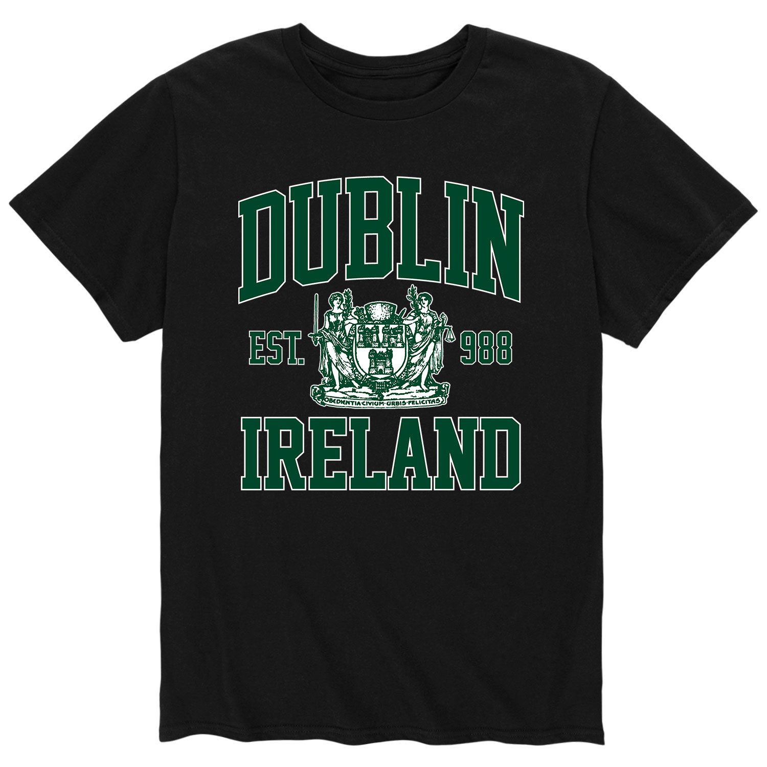 Мужская университетская футболка Dublin Collegiate Licensed Character