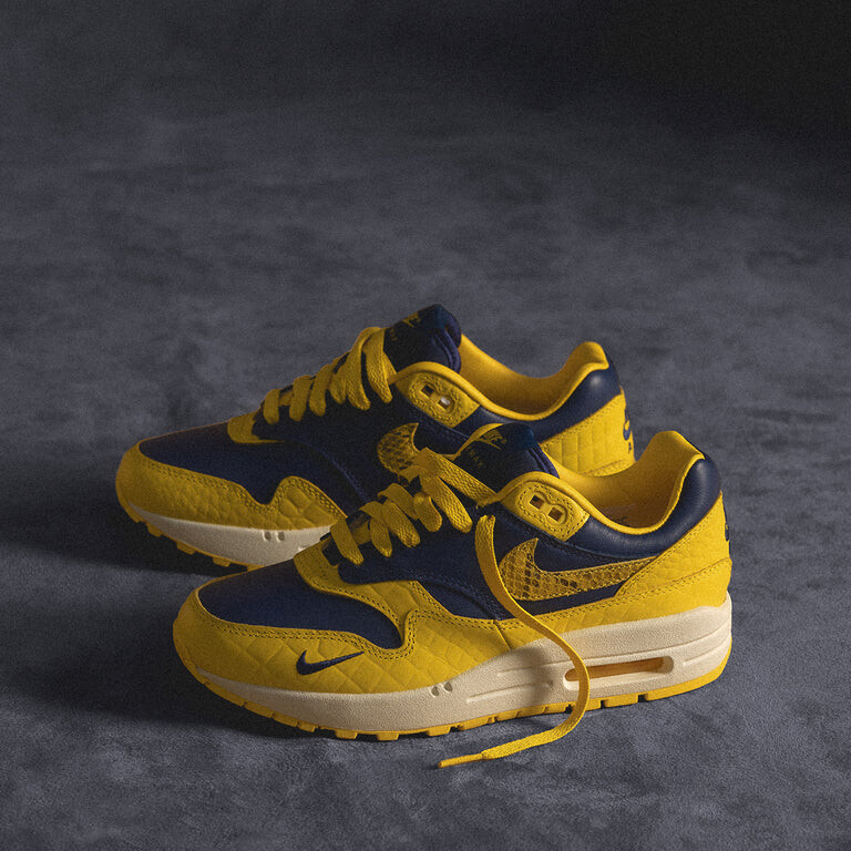 

Кроссовки Wmns Air Max 1 Premium *Head To Head* Nike, синий