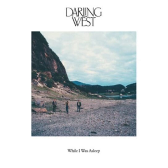 

Виниловая пластинка Darling West - While I Was Asleep