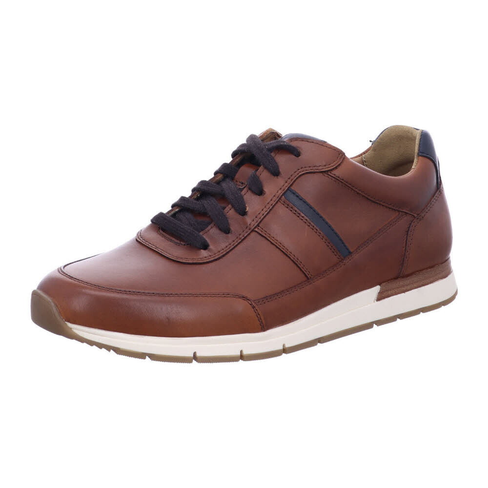 

Кроссовки Pius Gabor Sneaker, коричневый
