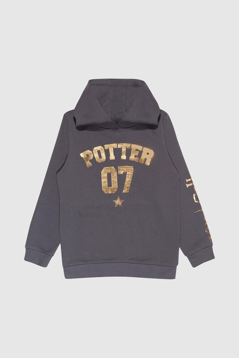 

Толстовка с золотой фольгой Potter 07 Harry Potter, серый