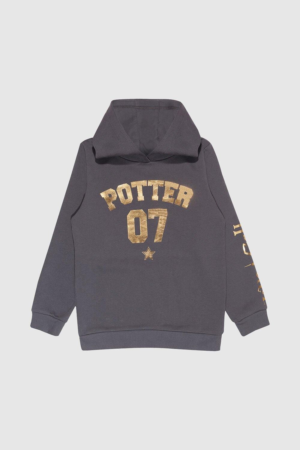 Толстовка с золотой фольгой Potter 07 Harry Potter, серый