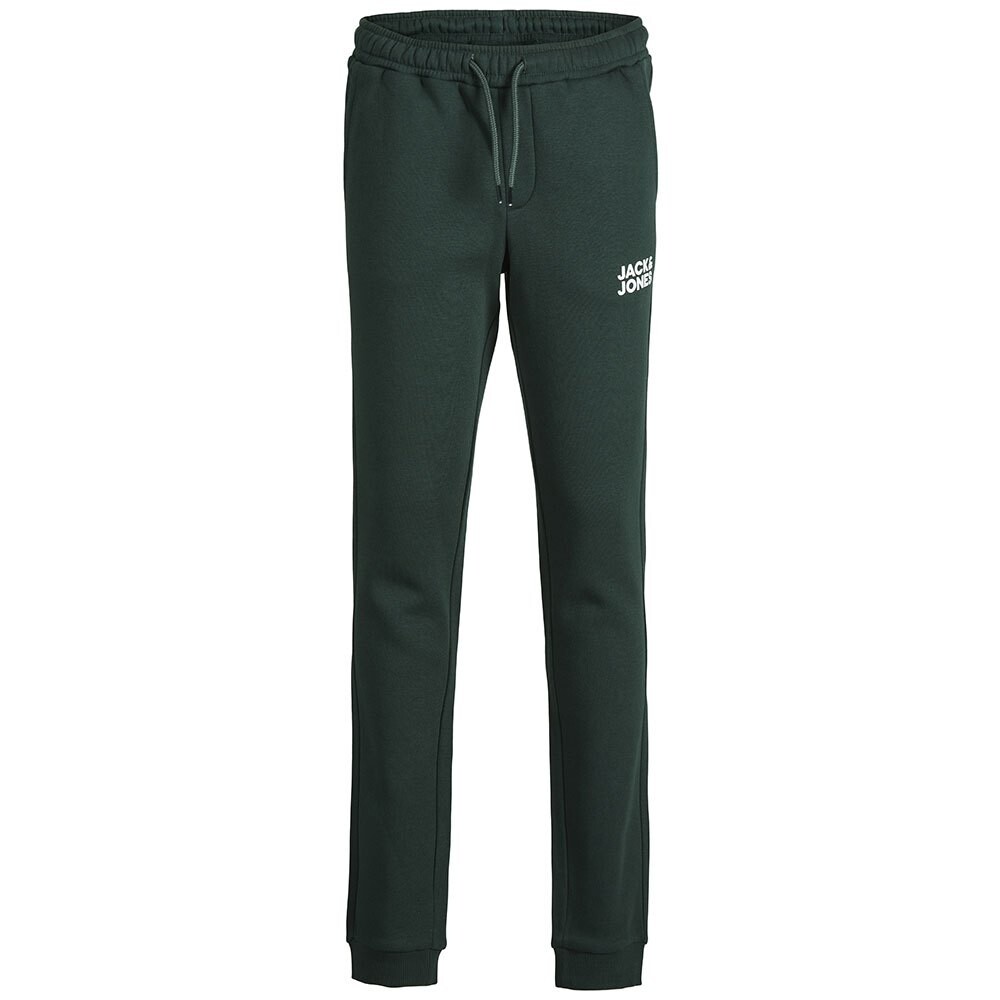 

Спортивные брюки Jack & Jones Gordon Newsoft, зеленый
