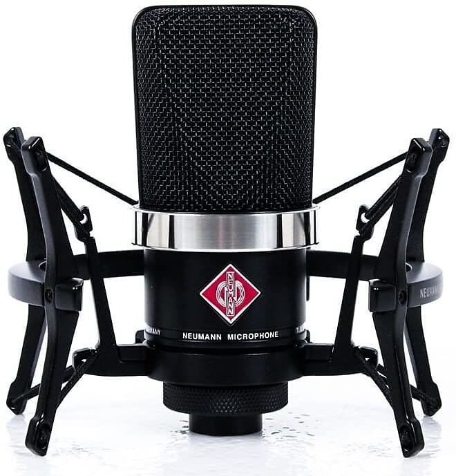 

Микрофон Neumann TLM 102 Large Diaphragm Cardioid Condenser Microphone