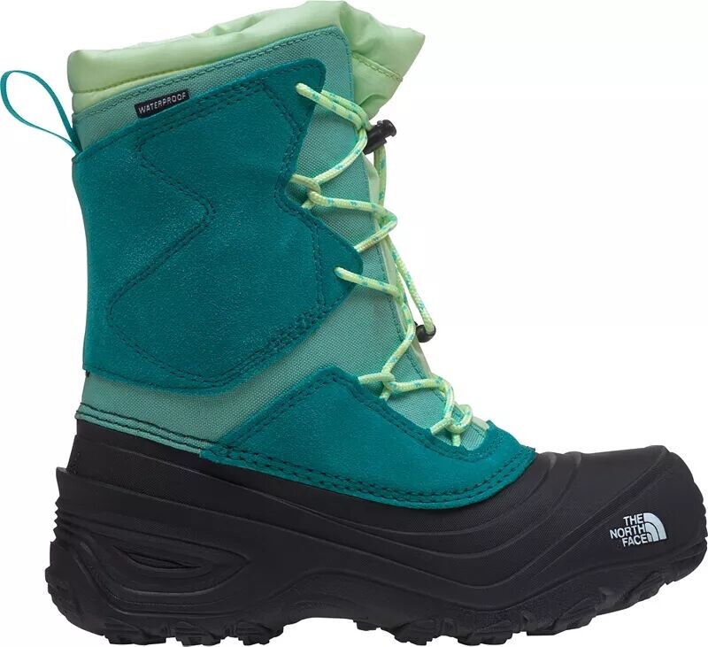 

Детские водонепроницаемые зимние ботинки Alpenglow V The North Face