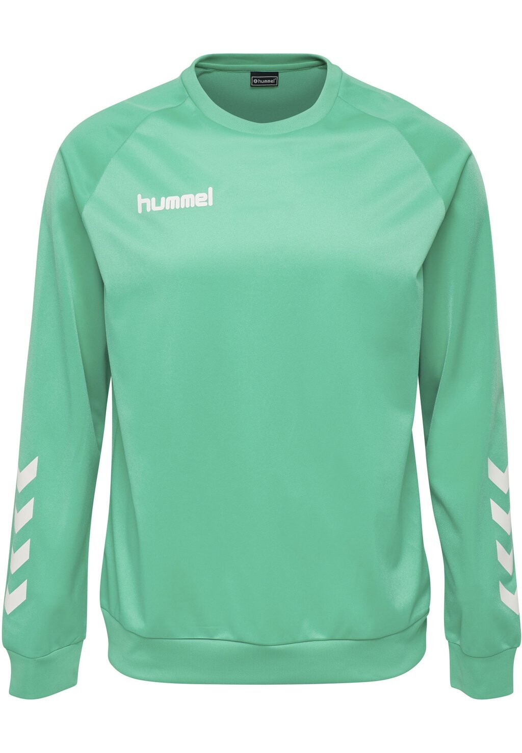 

Толстовка Hummel