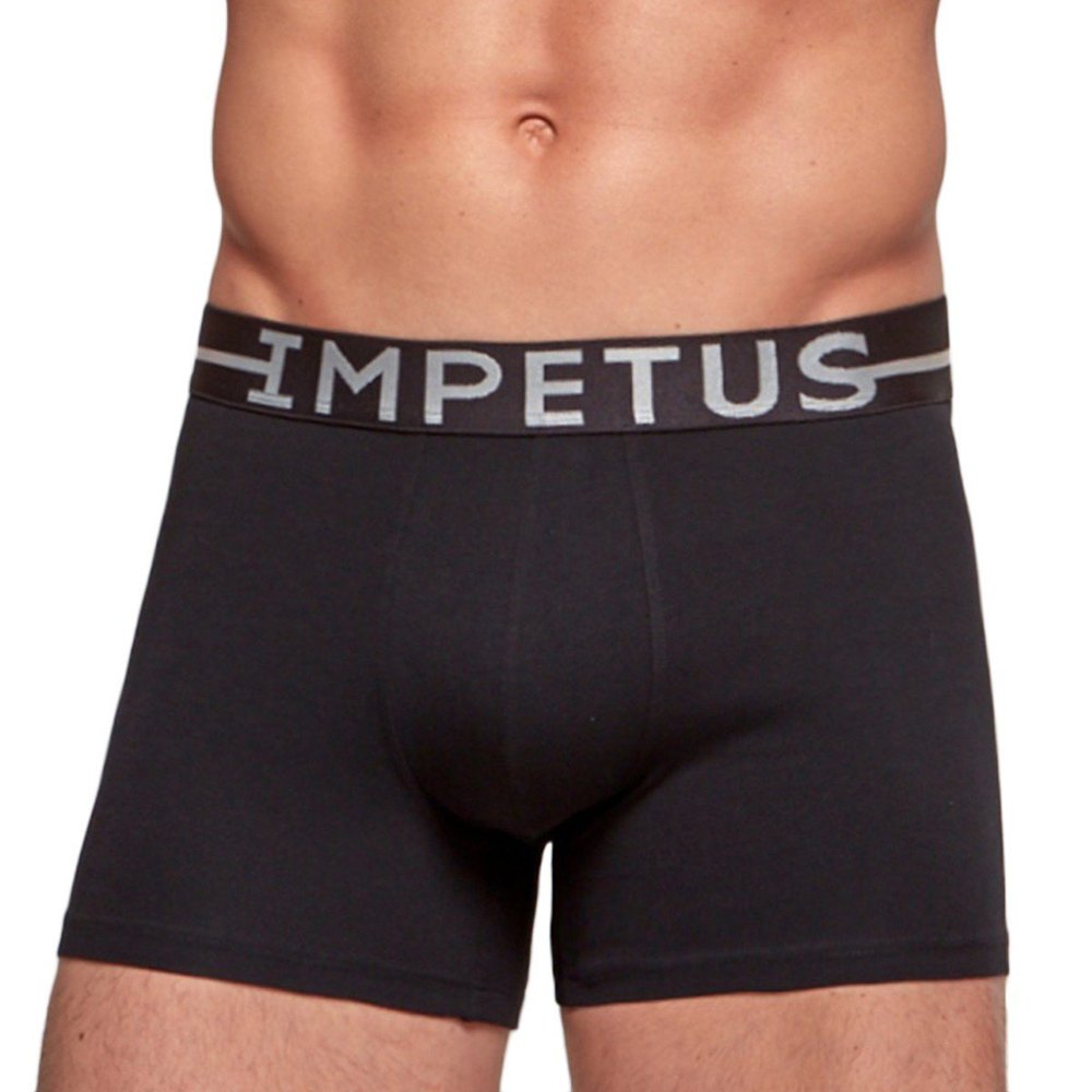 

Боксеры Impetus Stretch Essentials, черный