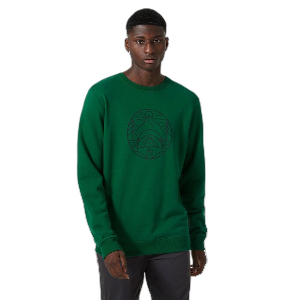 

Толстовка Helly Hansen F2F Organic, зеленый
