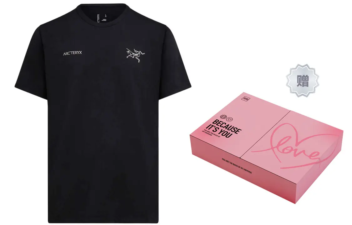 

Футболка Captive Series для мужчин Arcteryx, серый