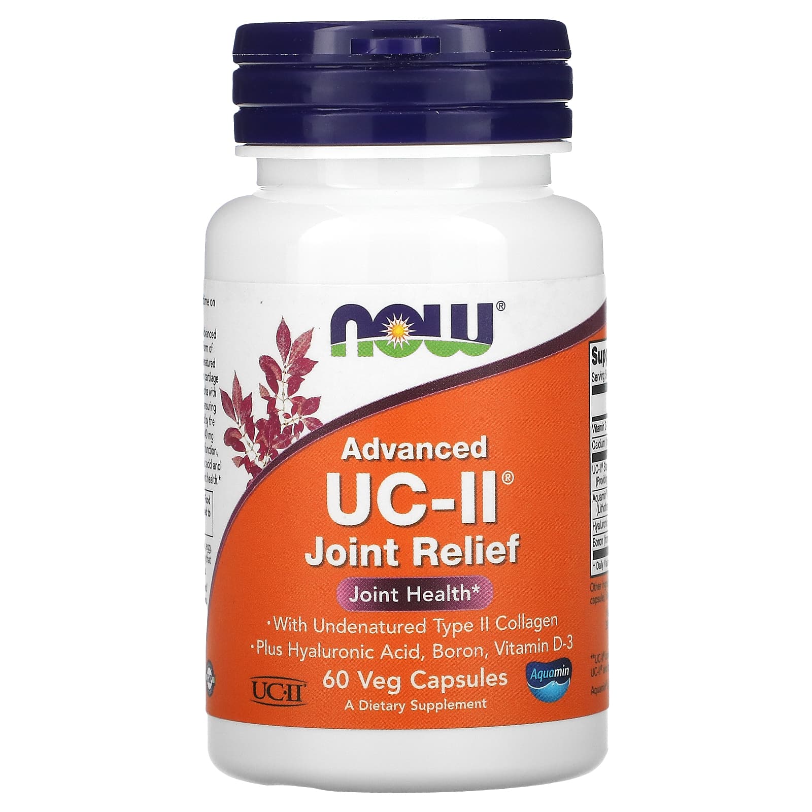 Now Foods Advanced UC-II Joint Relief 60 Veg Capsules