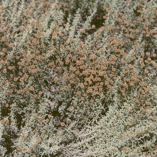 

Виниловая пластинка Loving - If I Am Only My Thoughts