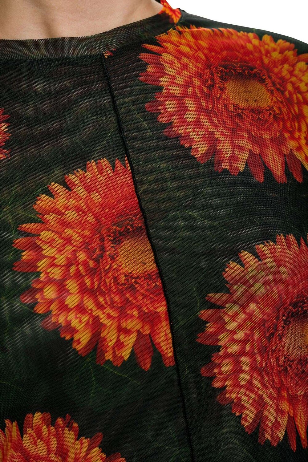 

Лонгслив «Гайла» с рисунком Desigual