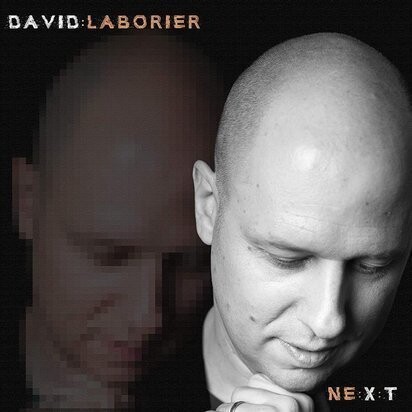 

Виниловая пластинка Laborier David - NE:X:T
