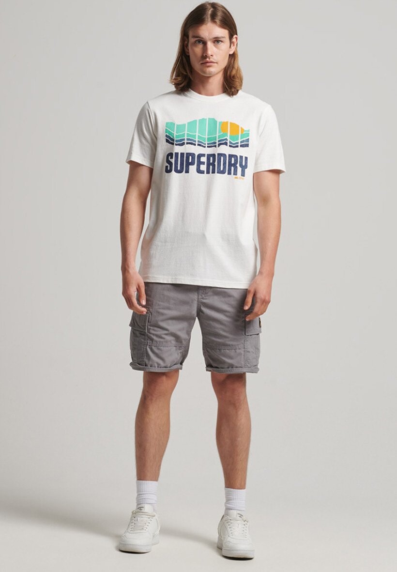 

Футболка с принтом Superdry, белый