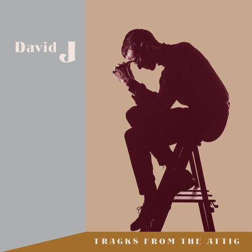 

CD диск David J: Tracks From The Attic