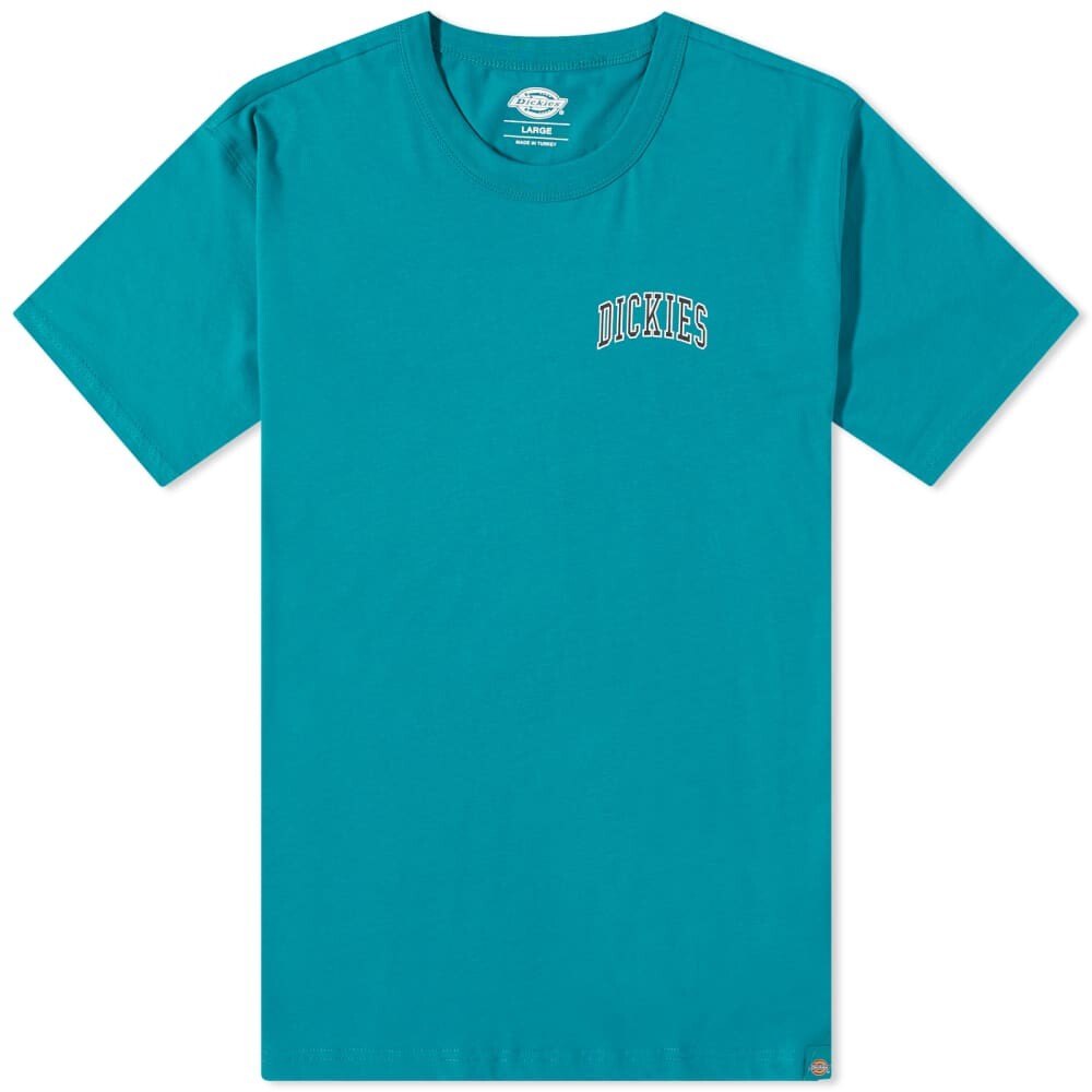 

Футболка с логотипом Dickies Aitkin на груди