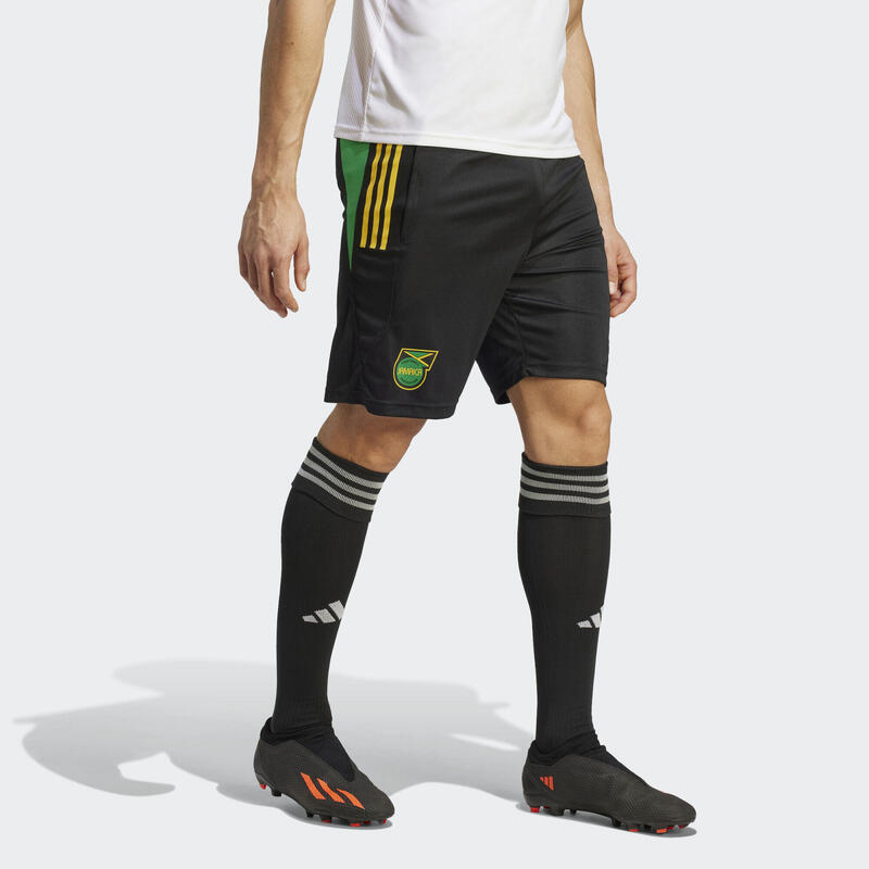 

тренировочные шорты Jamaica Tiro 23 ADIDAS, цвет schwarz