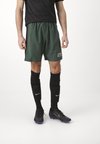 Спортивные шорты ACADEMY 23 SHORT Nike, темно-зеленый