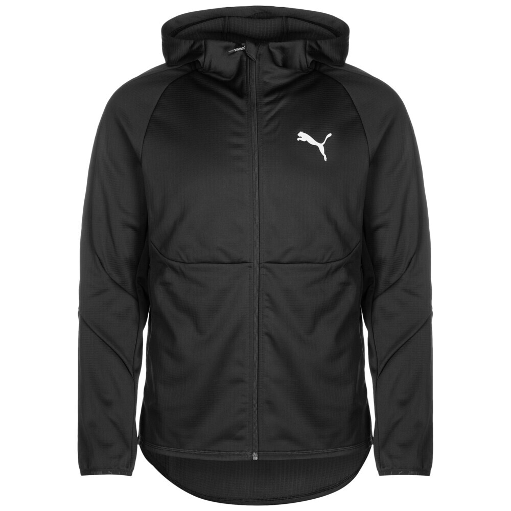

Спортивная толстовка на молнии Puma Evostripe, черный