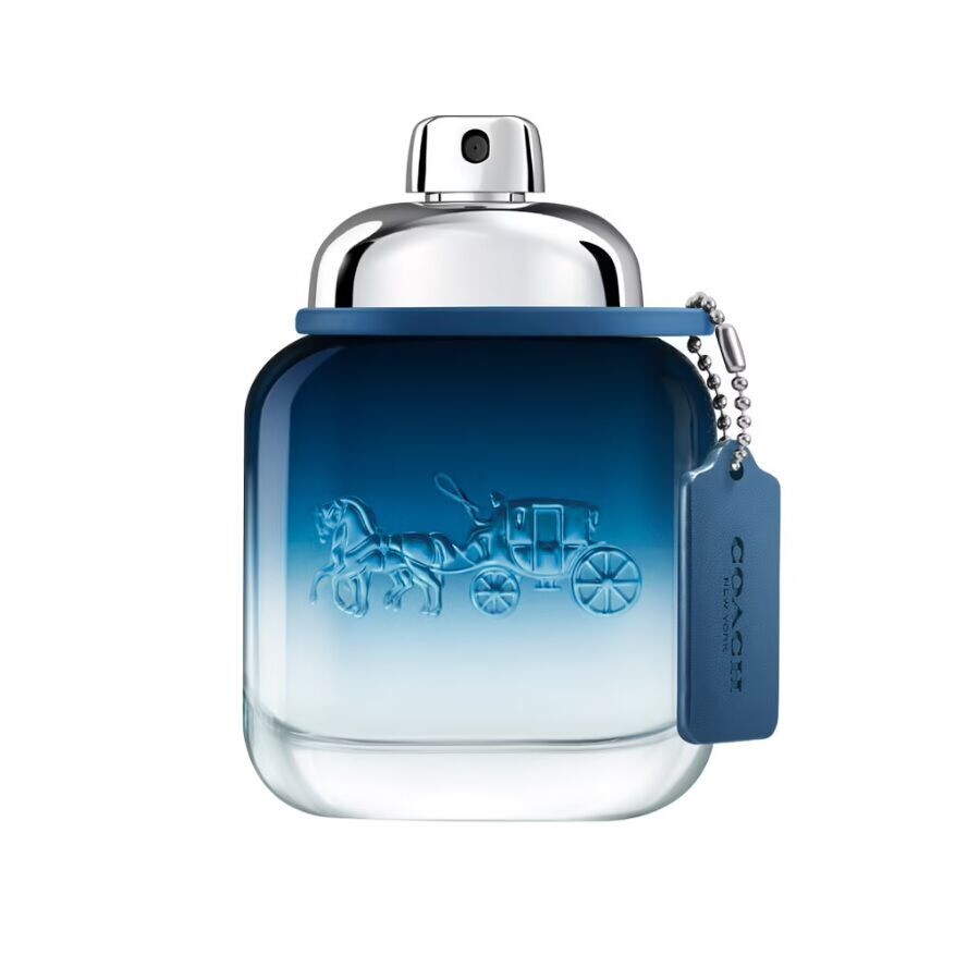 

Мужская туалетная вода Coach Blue, 40 мл