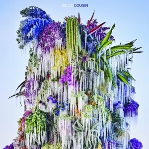 

Виниловая пластинка Wilco - Cousin