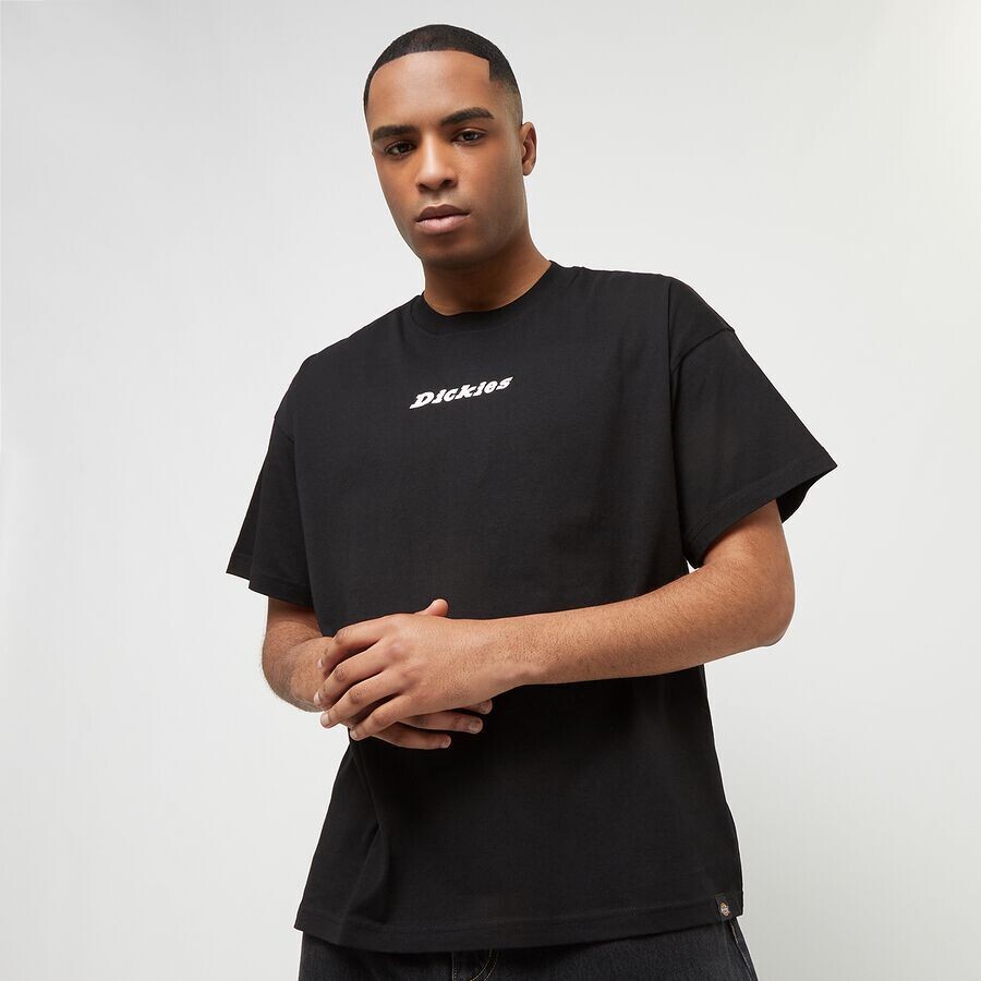 

Футболка Enterprise с коротким рукавом Dickies, цвет Black