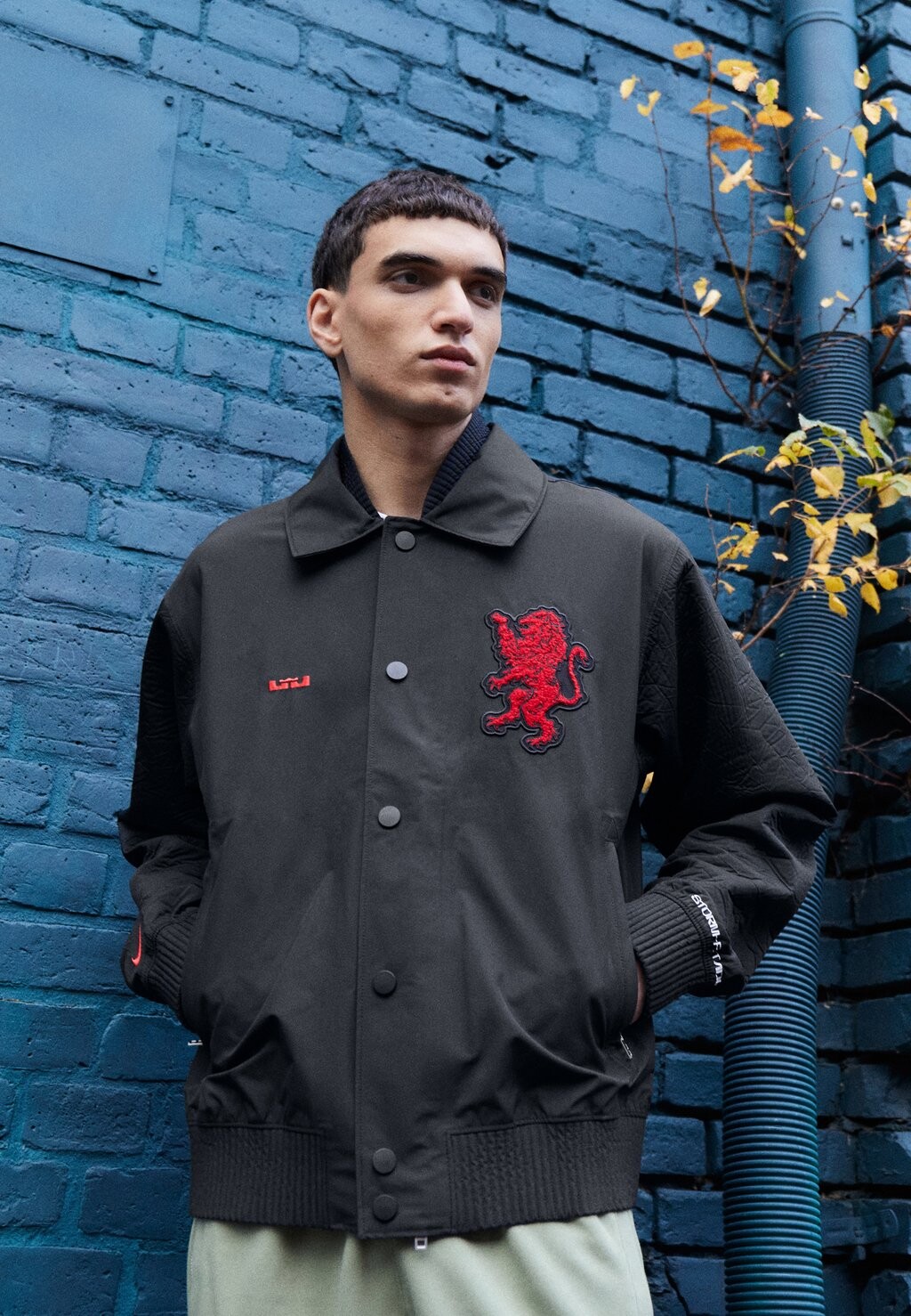 

Спортивная куртка Lebron James Jacket Nike, цвет black/university red