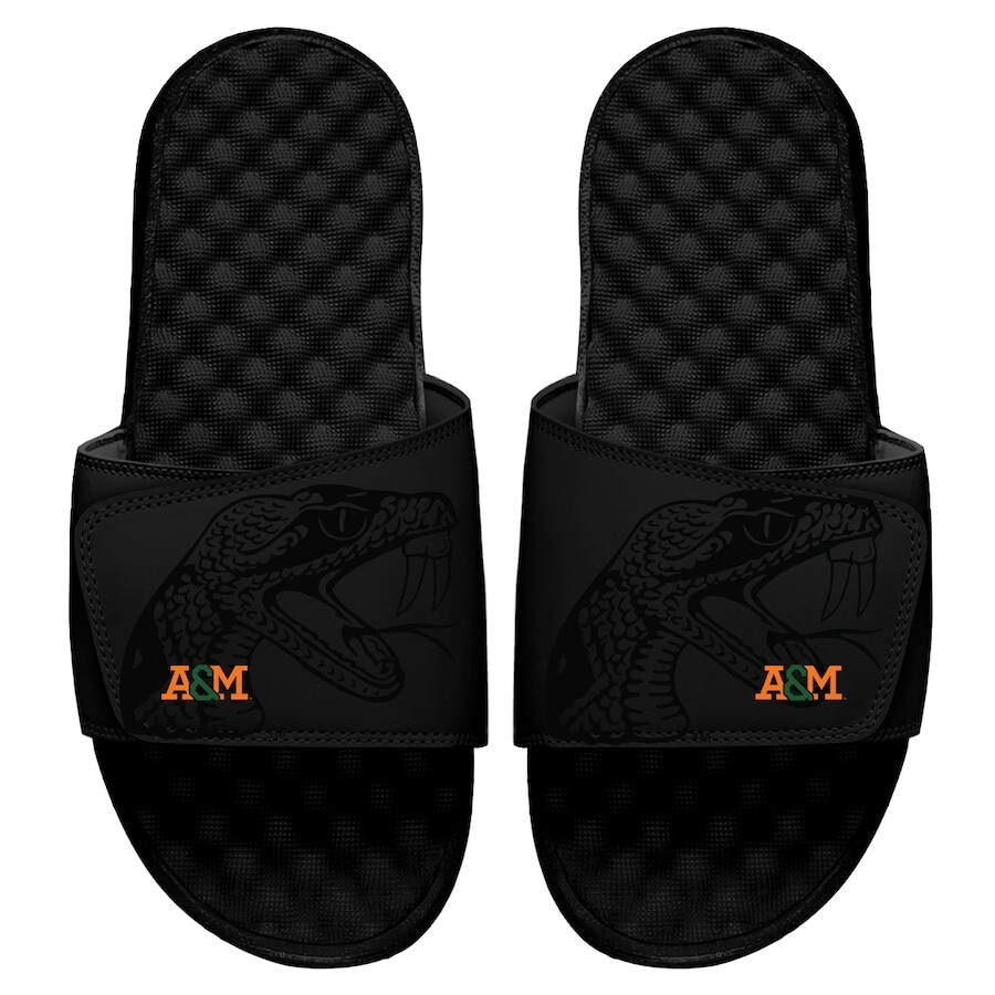 

Шлепанцы ISlide Florida A And M Rattlers, черный