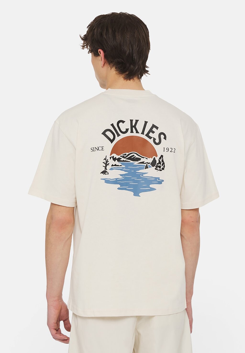 

Футболка с принтом Beach Ss Dickies, цвет whitecap gray
