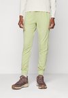 Тренировочные брюки WOMEN CRUSH PANTS Icebreaker, светло-зеленый