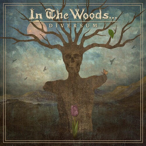 

CD диск In the Woods: DIVERSUM