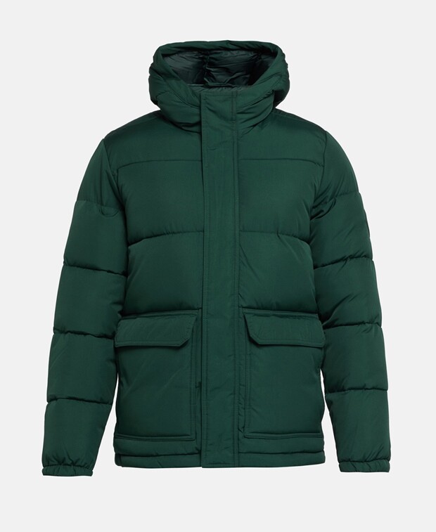 

Зимняя куртка Hollister, зеленый