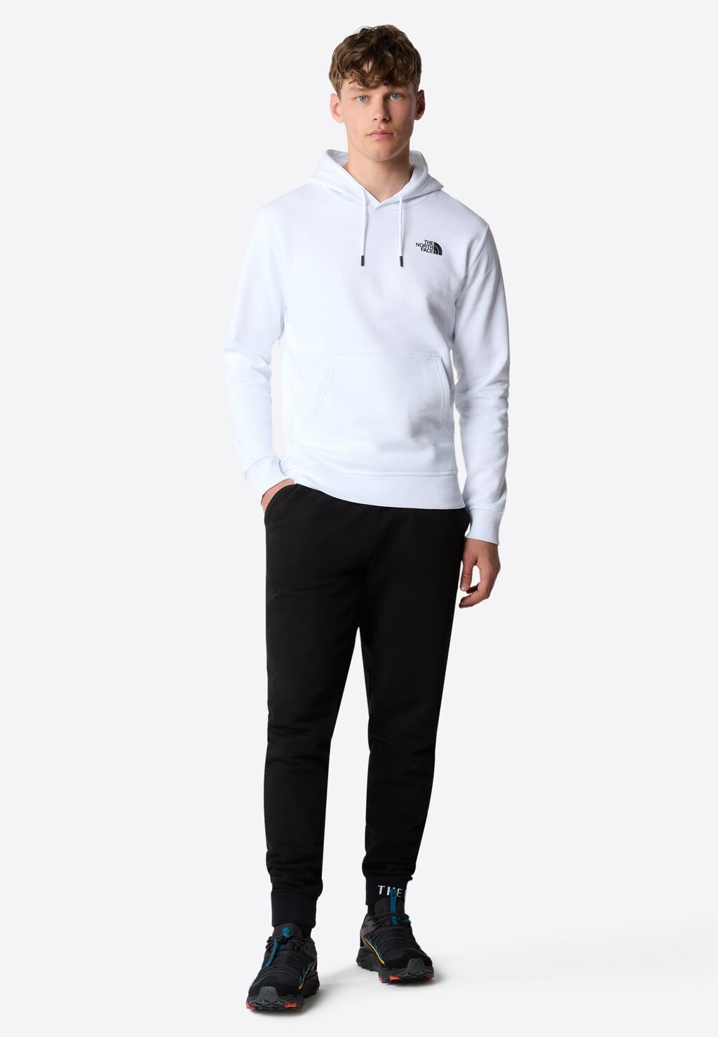 

Худи The North Face