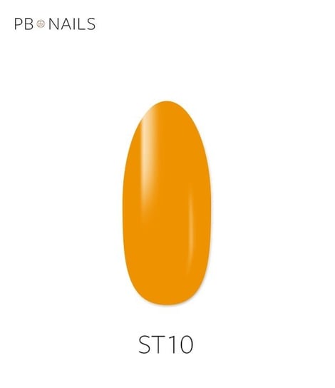 Штамп-гель, Гель для дизайна ногтей ST10 PB Nails