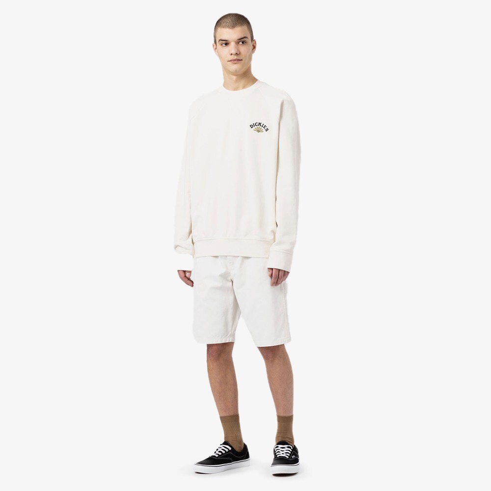 

Шорты Duck Canvas Short Dickies, мультиколор