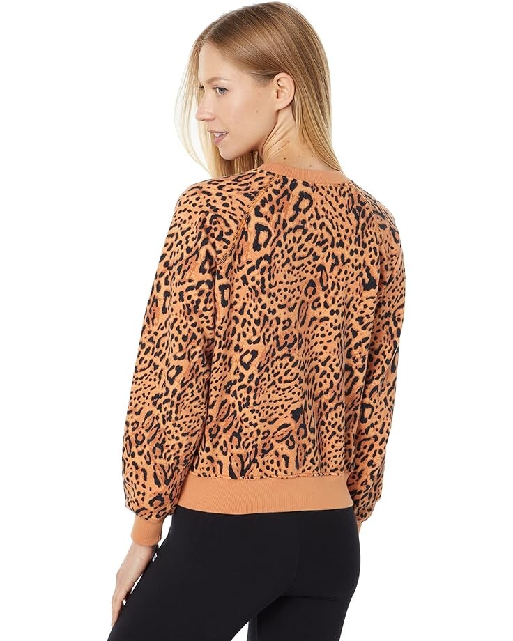 

Толстовка Billabong Sun Shrunk Sweatshirt, цвет Animal