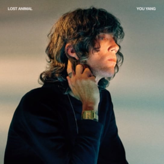 Виниловая пластинка Lost Animal - You Yang