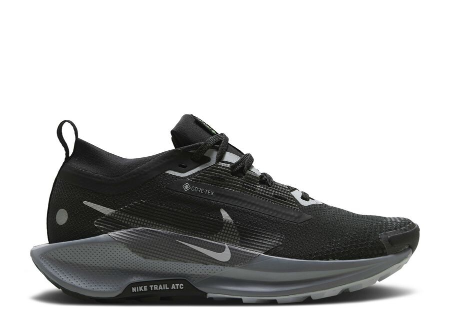 

Кроссовки Nike Wmns Pegasus Trail 5 5 GORE TEX, цвет Black Wolf Grey
