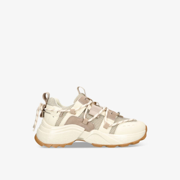 

Кроссовки Tazmania с низким берцем из искусственной замши и сетки Steve Madden, коричневый