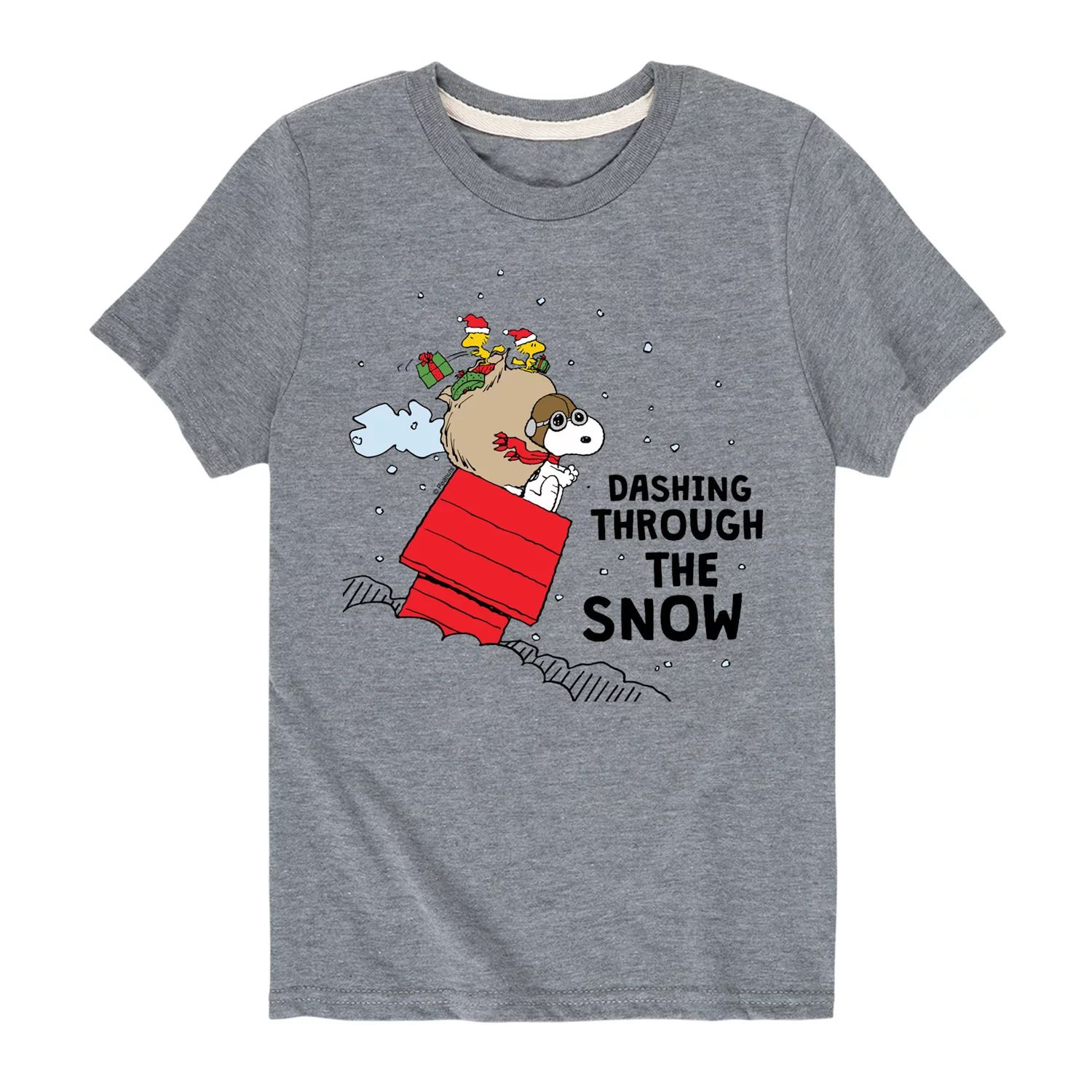 Футболка Peanuts Dashing Through Snow для мальчиков 8–20 лет Licensed Character
