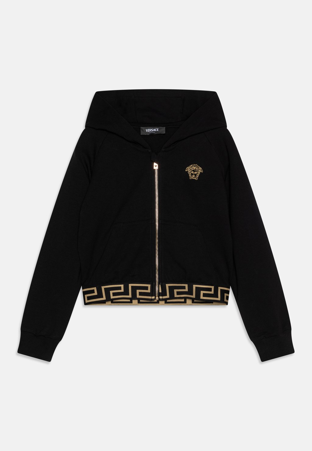 

Толстовка на молнии Medusa Embroidery Versace, цвет black/gold