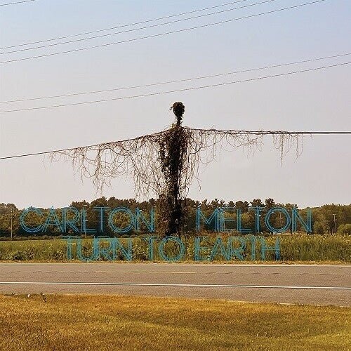 

Виниловая пластинка Melton, Carlton - Turn To Earth