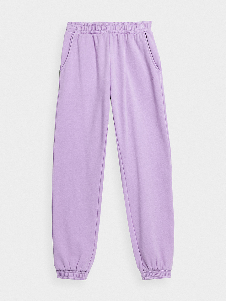 Спортивные брюки 4F, фиолетовый брюки 4f размер 134 фиолетовый