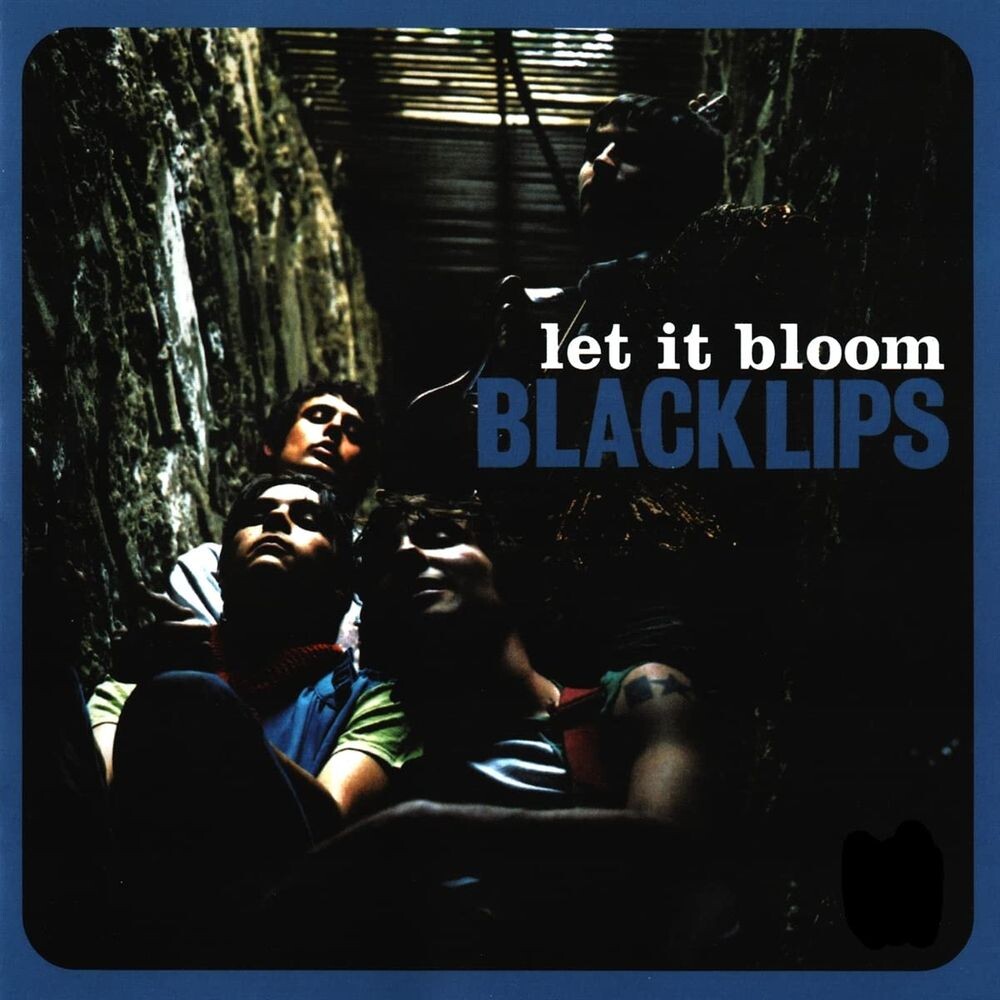 

Виниловая пластинка LP Let It Bloom - Black Lips