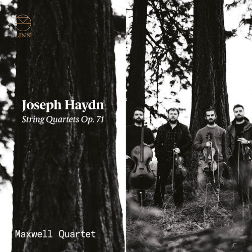 

CD диск Haydn / Maxwell Quartet: Strings Quartets 71