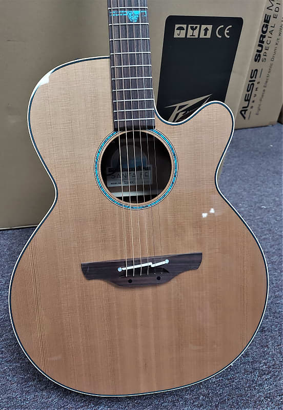 цена Акустическая гитара Takamine TSF 40C 2023
