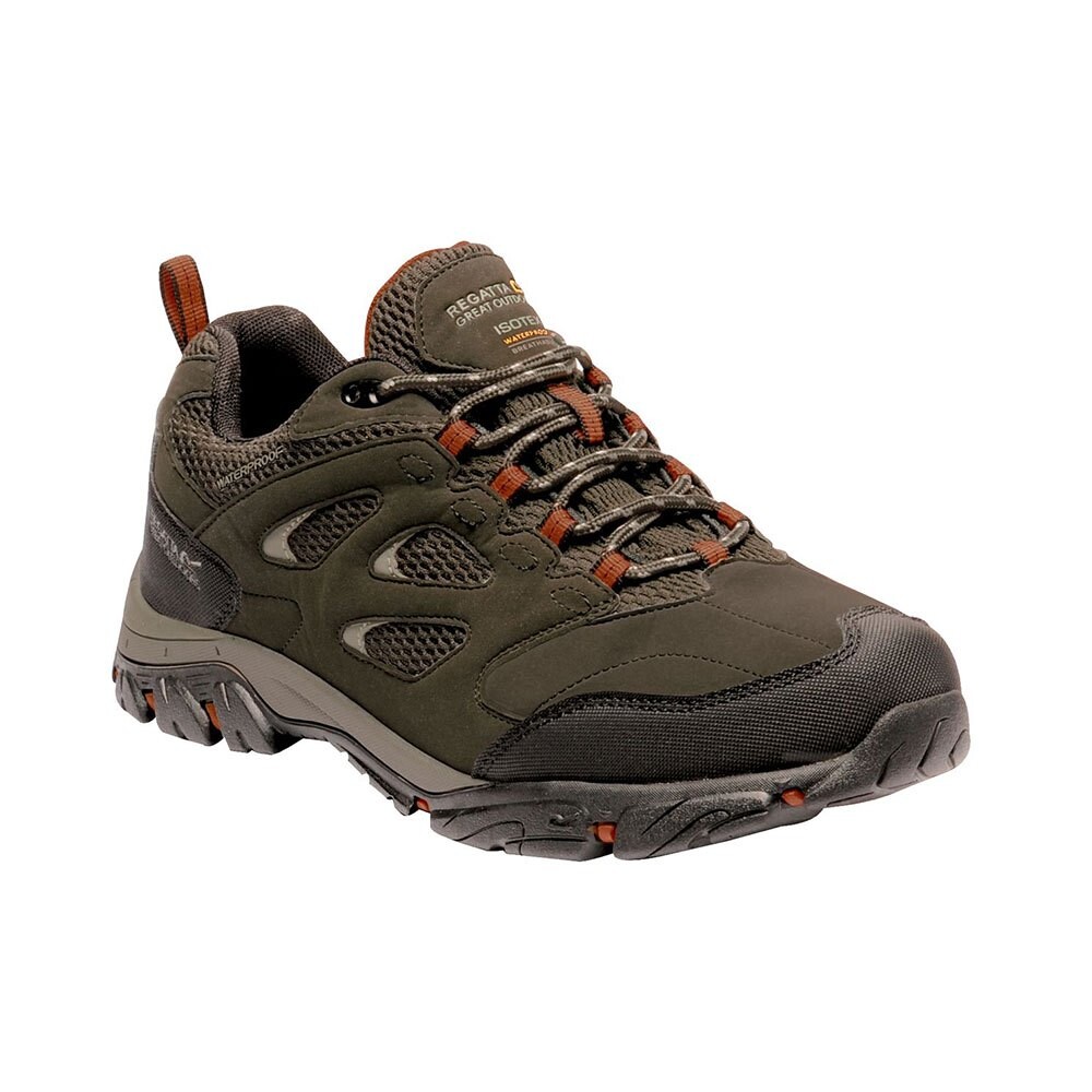 

Походная обувь Regatta Holcombe IEP Low, коричневый