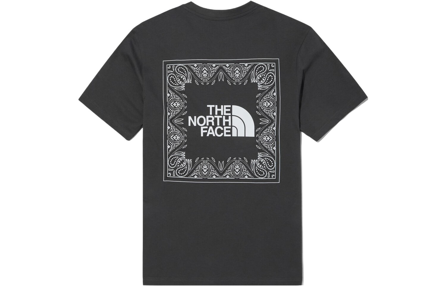 

THE NORTH FACE Мужская футболка