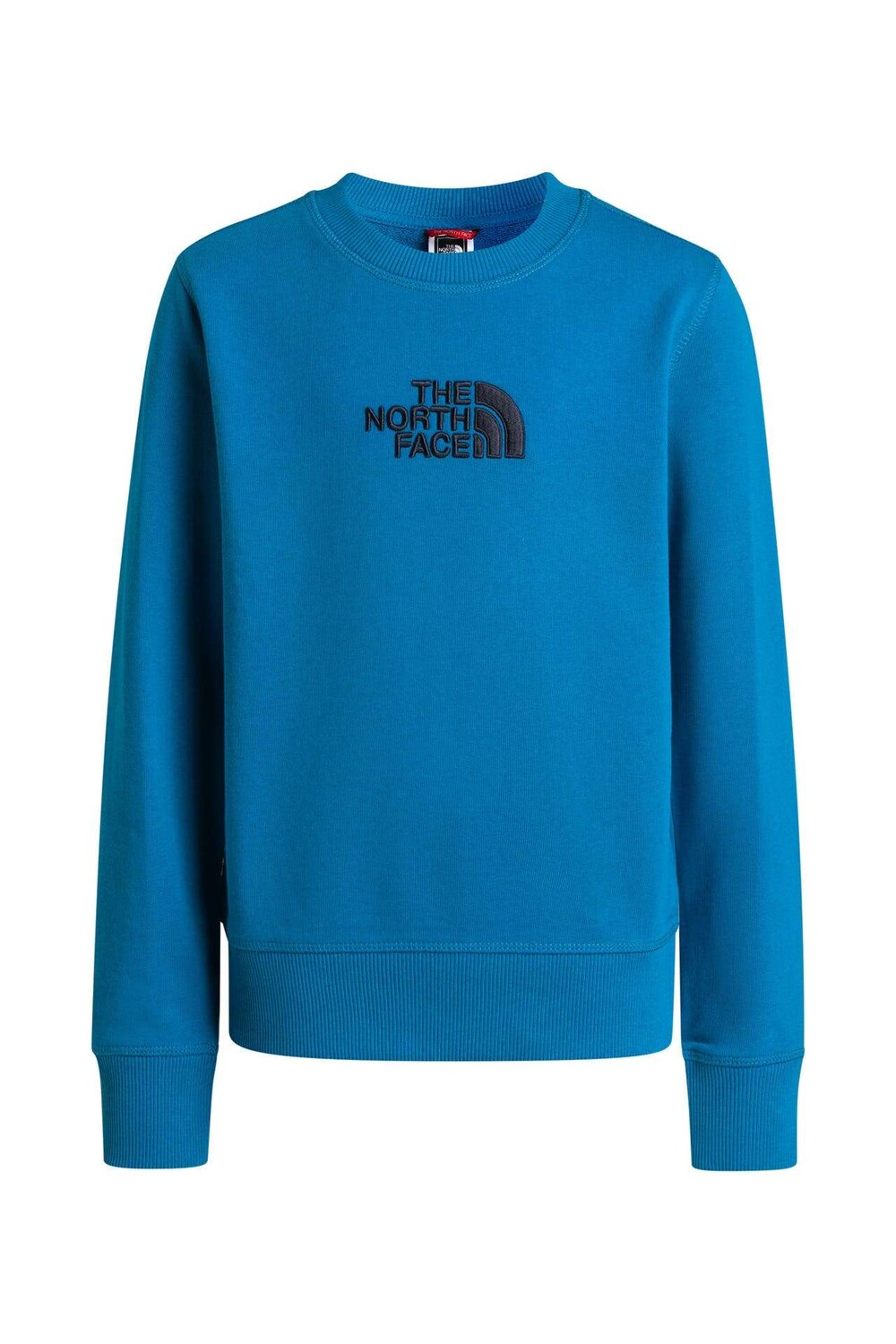 

Лазурно-синяя толстовка The North Face