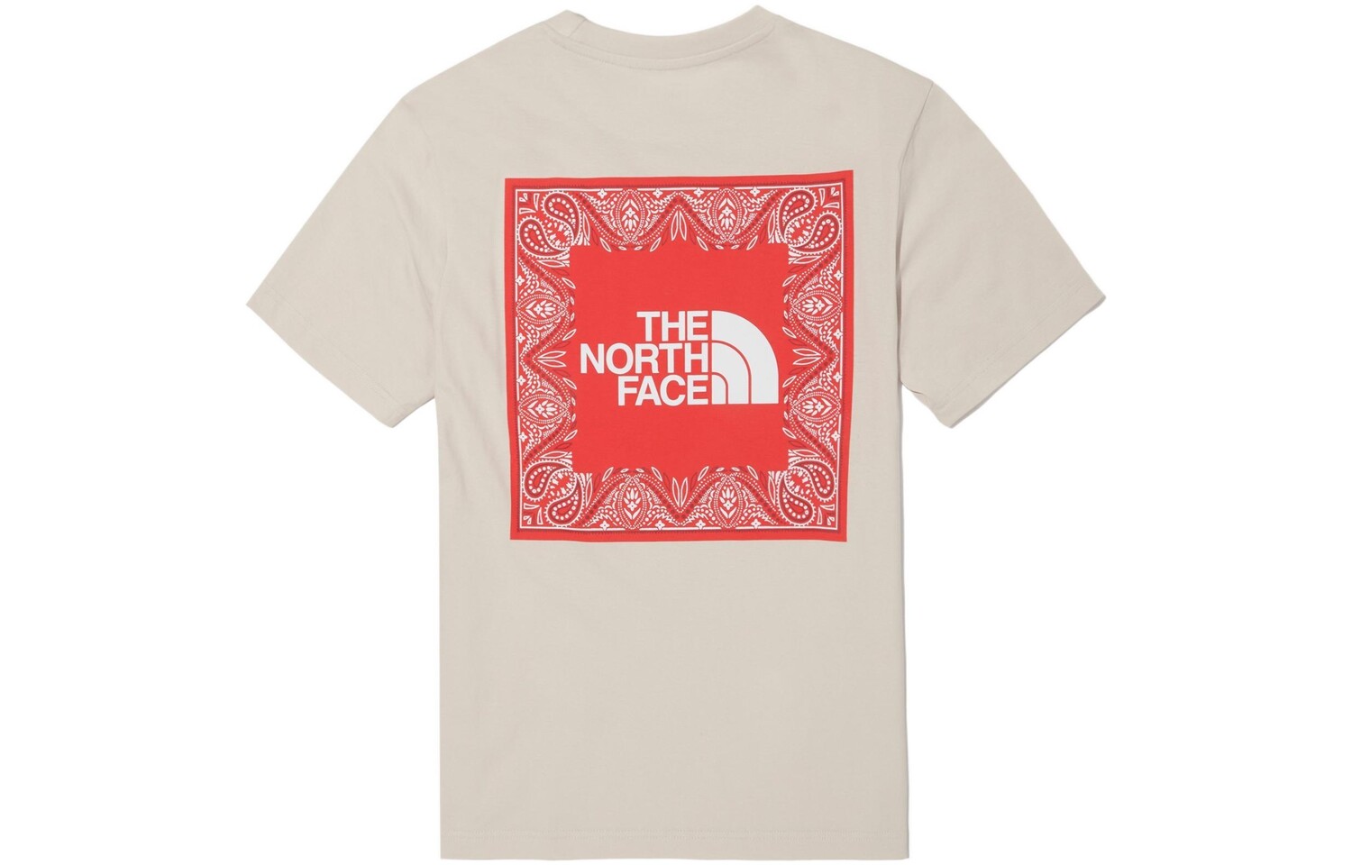 

THE NORTH FACE Мужская футболка